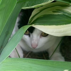 Meet your Posher, Léanne